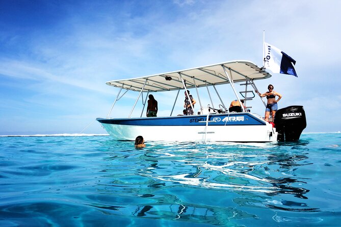 Whale watching on the preserved and quiet coast of Paea (Pk26) - Weather, seasickness, and what to pack for a smooth day