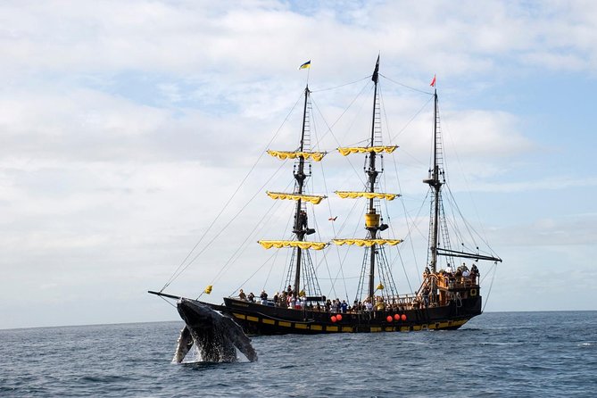 Whale-Watching Pirate Ship Cruise in Los Cabos - Cabo landmarks first: Lover’s Beach, the Arch, and sea lions