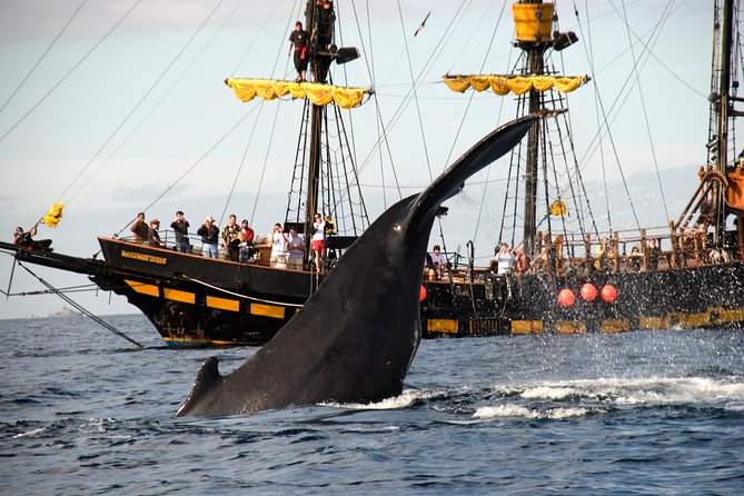 Whale-Watching Pirate Ship Cruise in Los Cabos - Breakfast and open bar: how to enjoy it without losing your sea legs