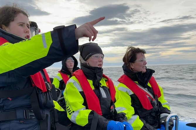 Whale Watching - RIB Boat Adventure in Kopavogur, Iceland - Fast RIB Boat Whale Watching From Kópavogur Harbor