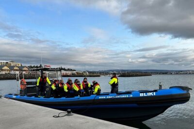 Whale Watching - RIB Boat Adventure in Kopavogur, Iceland - Two 440 hp Engines: Why the Ride Feels Like a Water Rollercoaster
