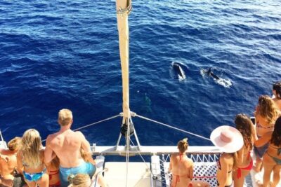 Whale Watching Sail in Honolulu with Open Bar - Getting on the Holokai: tides, sand, stairs, and why footwear matters