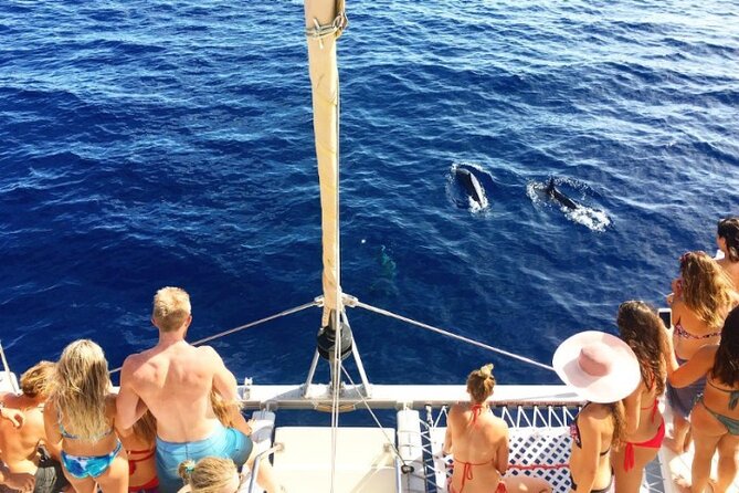 Whale Watching Sail in Honolulu with Open Bar - Getting on the Holokai: tides, sand, stairs, and why footwear matters