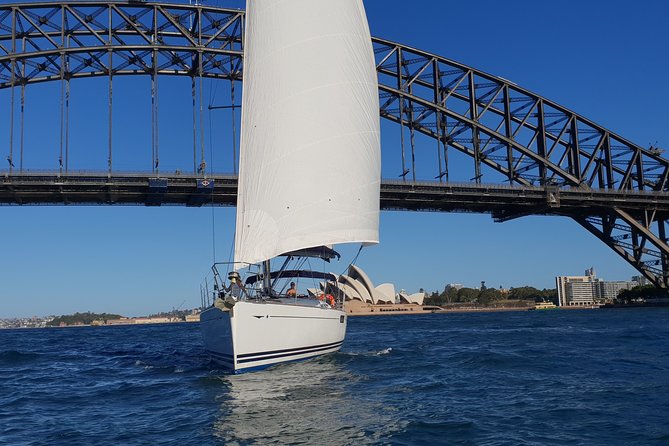 Whale Watching Sailing Experience in Sydney - The Tasman Sea sailing experience: comfort, calm, and real wildlife viewing