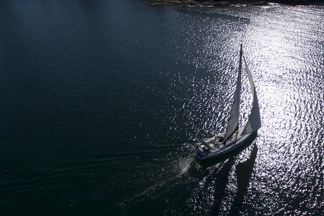 Whale Watching Sailing Experience in Sydney - Who should go (and who should sit this one out)