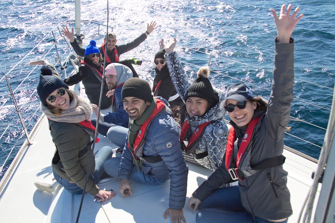Whale Watching Sailing Experience in Sydney - Rose Bay departure and the Sydney Harbour warm-up