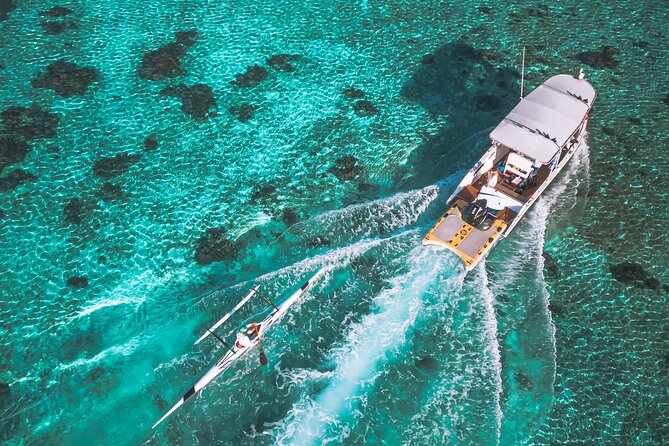 Whale Watching Shared Half Day - Who should book this shared whale watching trip?