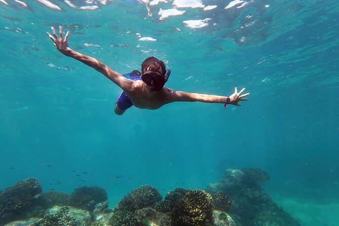 Whale Watching & Snorkeling Combo in Los Cabos with Photos Included - Key Highlights You’ll Care About