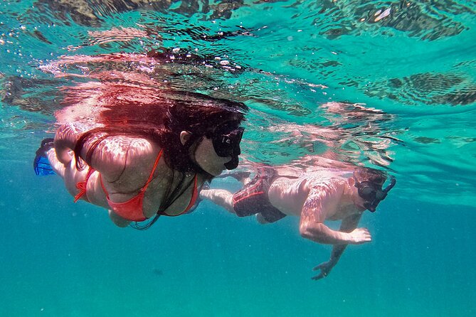 Whale Watching & Snorkeling Combo in Los Cabos with Photos Included - How the 3-Hour Combo Fits Together in Cabo San Lucas