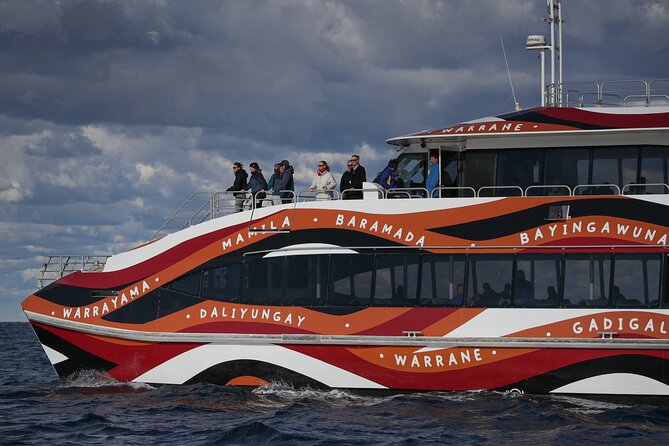 Whale Watching Sydney 2-Hour Express Cruise - Weather, motion sickness, and the one thing to take seriously