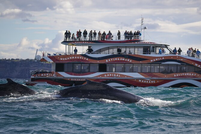 Whale Watching Sydney 2-Hour Express Cruise - Wheelchair accessible and service-animal friendly