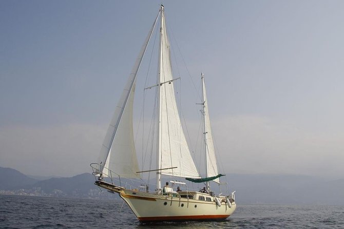Whale Watching The Best Of Puerto Vallarta - What’s included: snacks, drinks, and why that’s good value