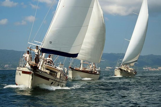 Whale Watching The Best Of Puerto Vallarta - How to maximize your whale-spotting chances