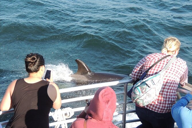 Whale Watching Tour from Anacortes - How the Crew’s Searching Improves Your Odds (Even When Whales Are Moving)