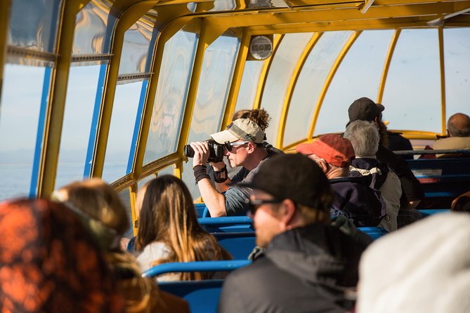 Whale-Watching Tour from Vancouver - Guides on the Water: How Naturalist James D. and Captain James Improve Your Odds