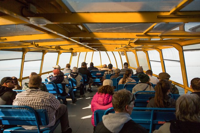 Whale-Watching Tour from Vancouver - Is This the Right Fit for Your Group?