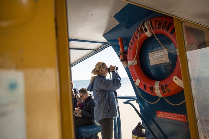 Whale-Watching Tour from Vancouver - Should You Book This Vancouver Whale Watch?