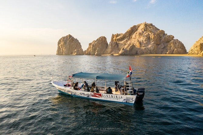 Whale Watching Tour in Cabo San Lucas - The 2.5-Hour Cruise: How Whale Watching Really Feels on the Water