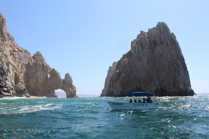 Whale Watching Tour in Glass Bottom Boat (VisitA Cabo) - Price and Value: $70 Plus a $1 Dock Fee