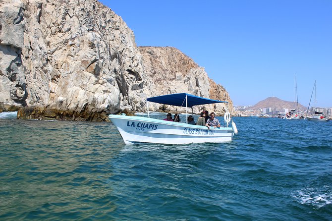 Whale Watching Tour in Glass Bottom Boat (VisitA Cabo) - Departure Times That Actually Help You Plan Your Day