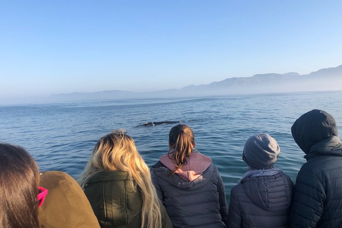 Whale Watching Tour in Hermanus with Hotel Pickup - Key Points Worth Knowing Before You Go
