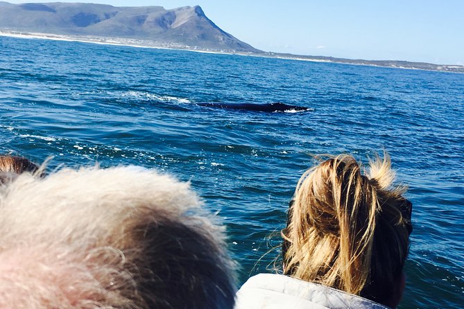 Whale Watching Tour in Hermanus with Hotel Pickup - Hotel Pickup That Sets the Tone for Your Whale Day