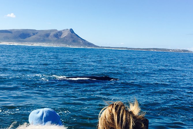 Whale Watching Tour in Hermanus with Hotel Pickup - After the Sighting: Hermanus Town Time and Optional Lunch
