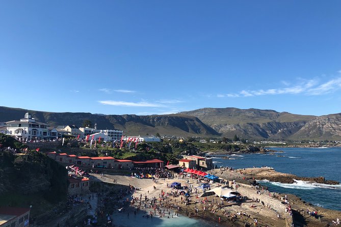 Whale Watching Tour in Hermanus with Hotel Pickup - Price and Value: What $215.84 Gets You (and What You’re Avoiding)