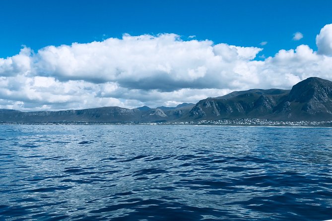 Whale Watching Tour in Hermanus with Hotel Pickup - Comfort, Clothing, and Seasickness Reality Checks