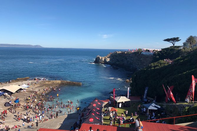 Whale Watching Tour in Hermanus with Hotel Pickup - Hermanus by Boat: Your Best Odds in May–November