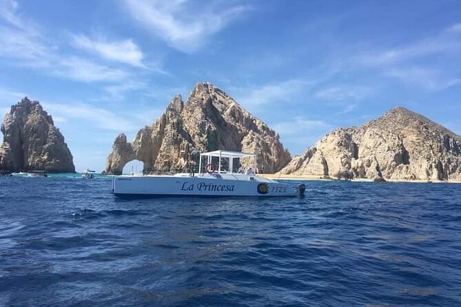 Whale Watching Tour in Los Cabos - Cabo whale watching: why this route feels special