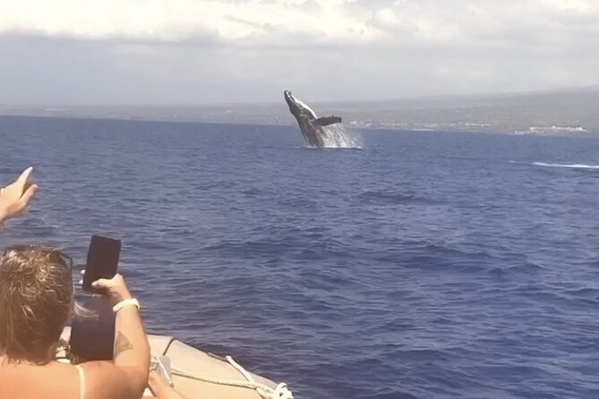 Whale Watching Tour on a Charming Hawaiian Catamaran From Maalaea - Your 2.5-hour plan on the water: how the time usually gets used