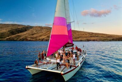 Whale Watching Tour on a Charming Hawaiian Catamaran From Maalaea - The whales you’re chasing: humpbacks, plus what you can actually hope for