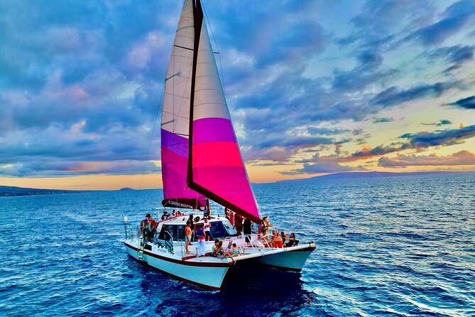 Whale Watching Tour on a Charming Hawaiian Catamaran From Maalaea - Dolphins: the bonus when conditions line up