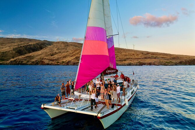 Whale Watching Tour on a Charming Hawaiian Catamaran From Maalaea - The whales you’re chasing: humpbacks, plus what you can actually hope for