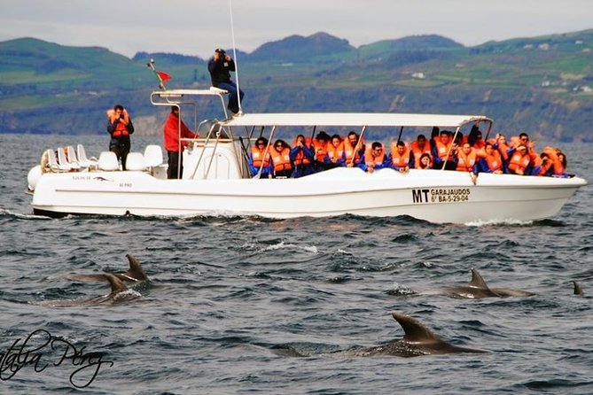 Whale Watching Tour + Vila Franca Islet: Full-day with lunch - Lunch timing: why your day may feel like two separate missions