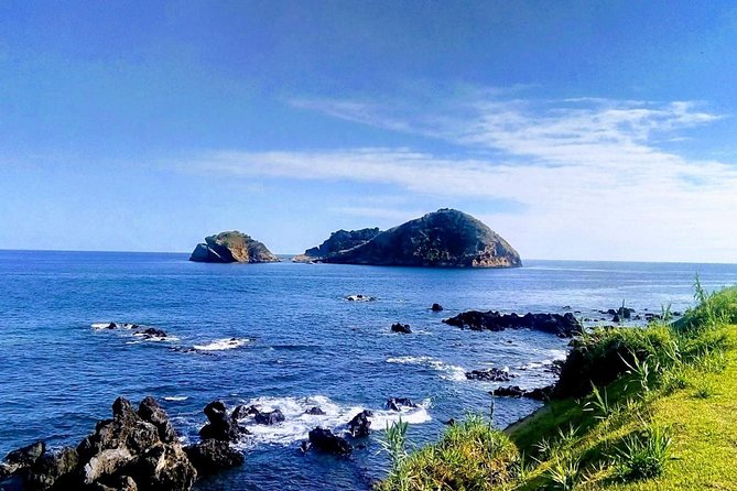 Whale Watching Tour + Vila Franca Islet: Full-day with lunch - Boat type, sea conditions, and the comfort reality check