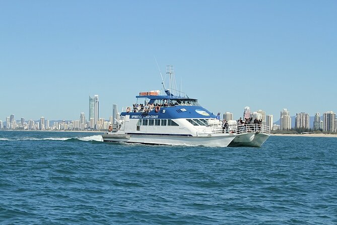 Whale Watching Tour with Spirit of Gold Coast - What Happens During the 2.5-Hour Cruise (Without the Guesswork)