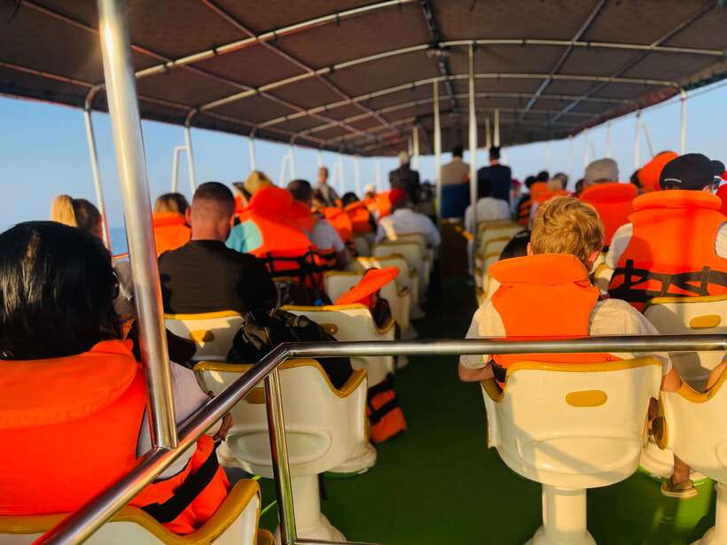 Whale Watching Tour with Transfers - Timing and Day Flow: What a 10-Hour Schedule Means in Practice