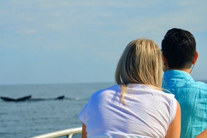 Whale Watching Warranty in San José del Cabo Snacks and drinks - What it’s like on board: small boat energy, less crowd noise