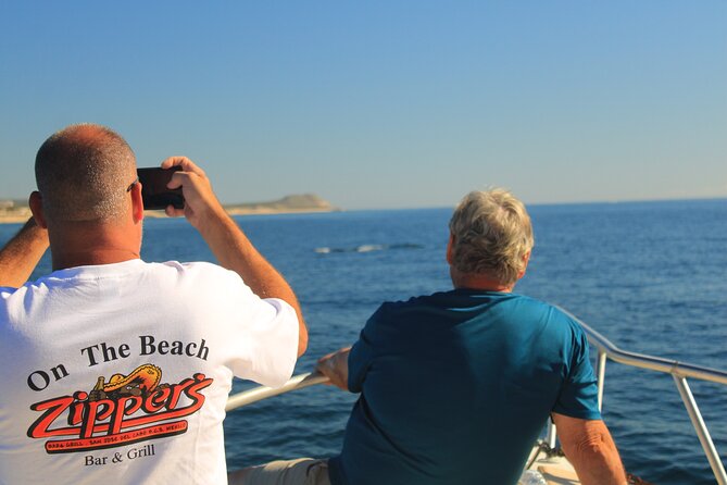 Whale Watching Warranty in San José del Cabo Snacks and drinks - How to make the most of your 2 hours on the water