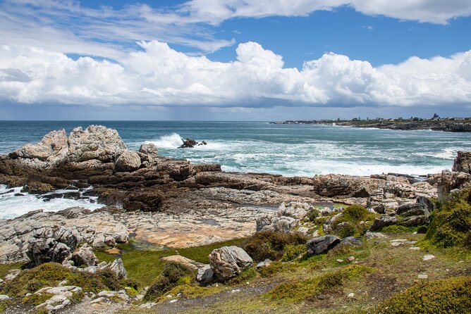 Whale Wonders: Majestic Marine Adventures in Hermanus - Whale Wonders in Hermanus: The Best Setting for Up-Close Southern Right Whales