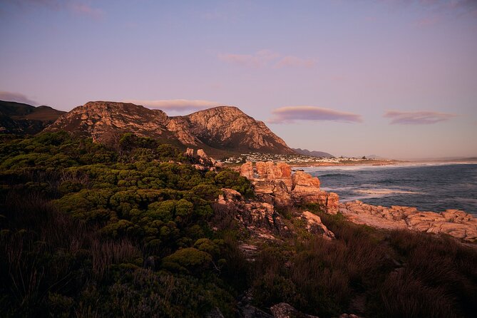Whale Wonders: Majestic Marine Adventures in Hermanus - Pickup, Private Group, and Mobile Ticket: Logistics That Reduce Hassle