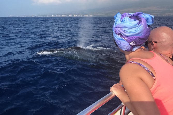 WHALES GUARANTEED Maui Whale Watching Makai Adventures - Key Highlights I’d Plan Around