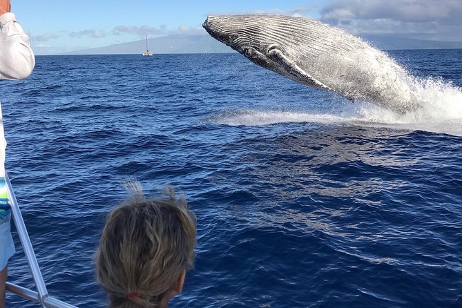 WHALES GUARANTEED Maui Whale Watching Makai Adventures - The Boat Setup: Why Cushions, Shade, and a Bathroom Matter