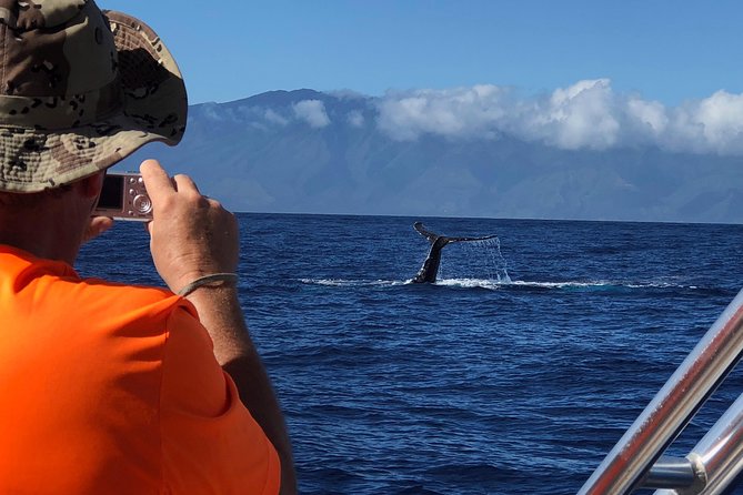 WHALES GUARANTEED Maui Whale Watching Makai Adventures - Price and Value: Is $97.41 a Fair Trade for a Better Whale Watch?
