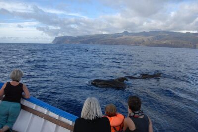 Whalewatching La Gomera - The traditional Canarian fishing boat and the small max-10 group