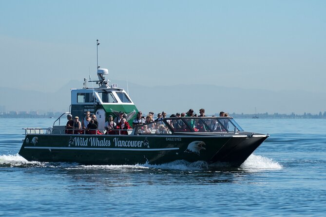 Wild Whale Watching Experience - Open Air Vessel - Price and Value: What $169.74 Buys You in Real Life