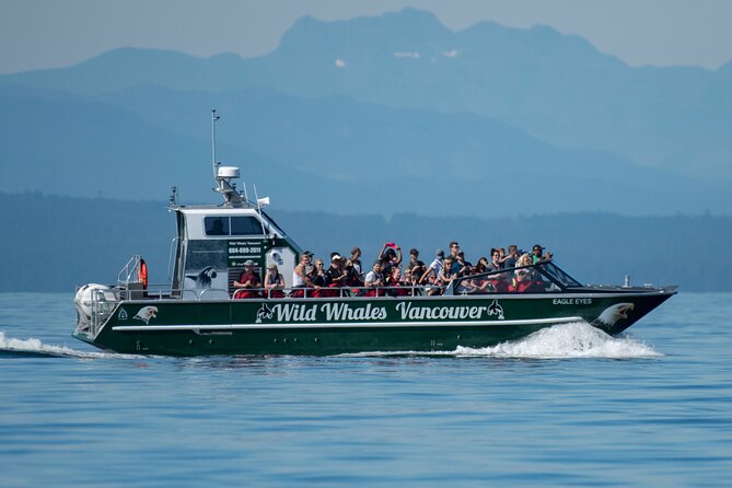 Wild Whale Watching Experience - Open Air Vessel - Marine Naturalist Guidance: Field Guides and Real Whale ID
