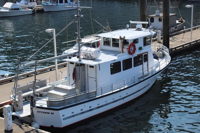 Wildlife Viewing, Sightseeing and Whale Watching Quest - Metlakatla Eagles and Walden Rocks Harbor Seals